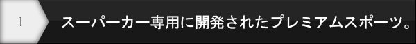 スーパーカー専用に開発されたプレミアムスポーツ。